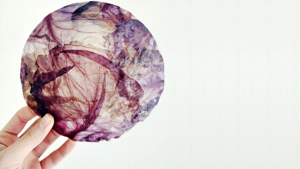Biodesign: luminária tem cúpula feita com repolho roxo