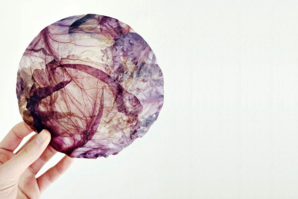 Biodesign: luminária tem cúpula feita com repolho roxo
