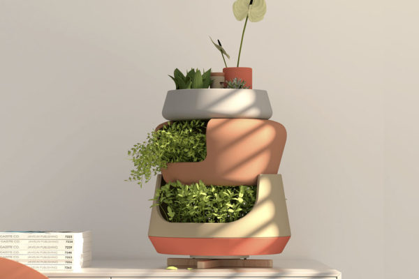 Design para plantas: dois vasos criados para facilitar o cultivo dentro de casa